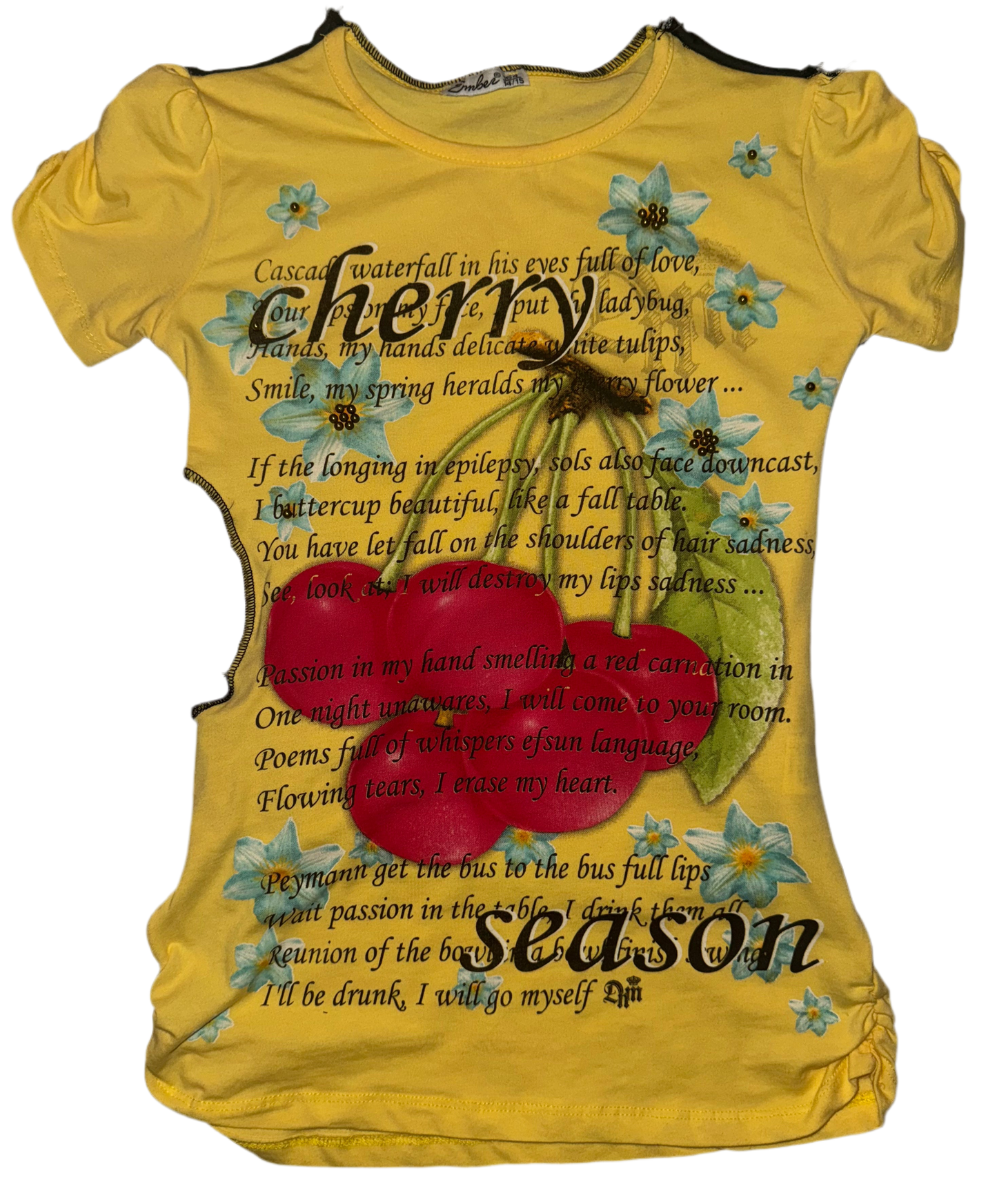 Water on a thirsty soil 2 shirts in 1 cut out top S