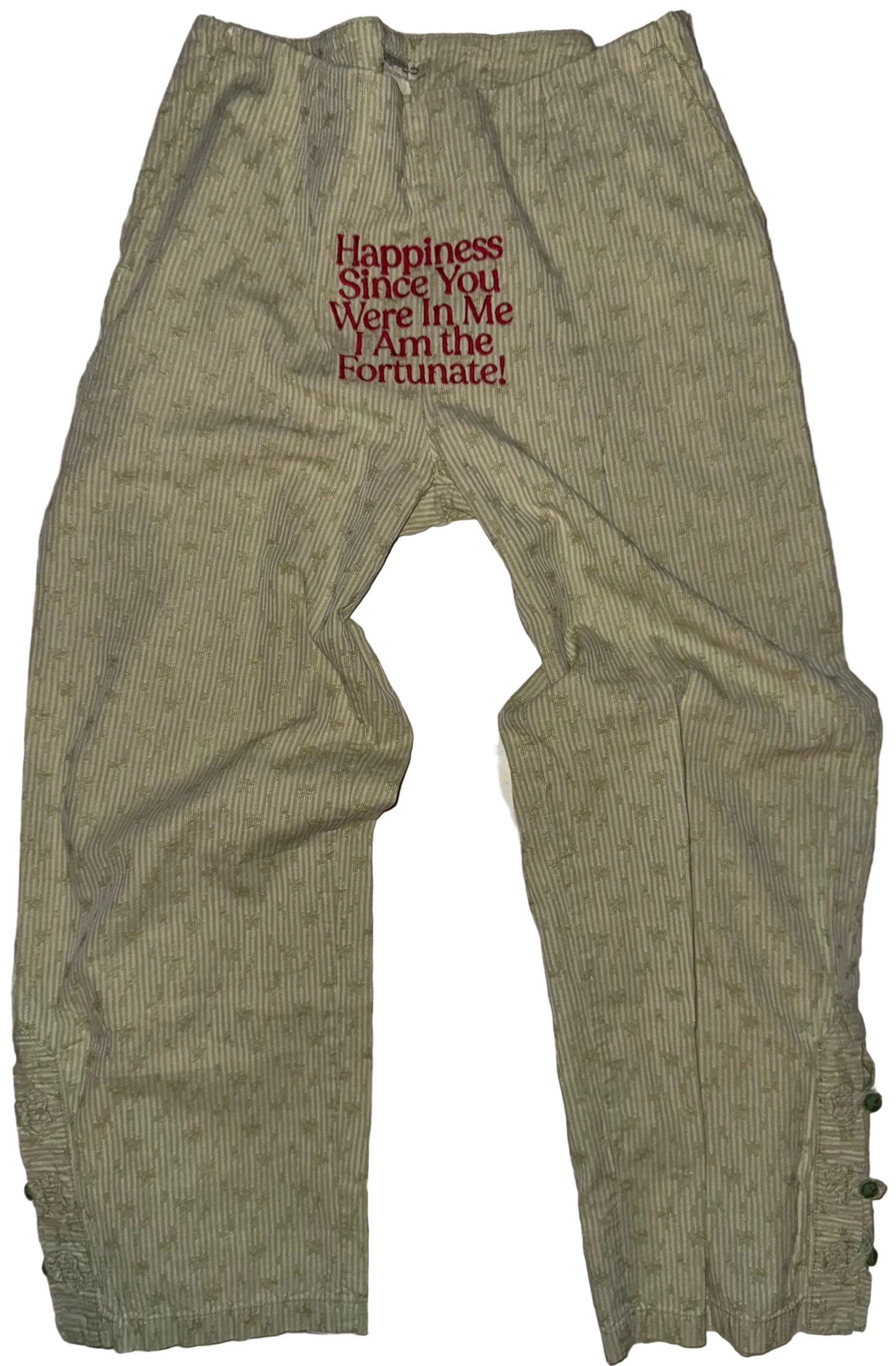 Happiness since you were in me pants S