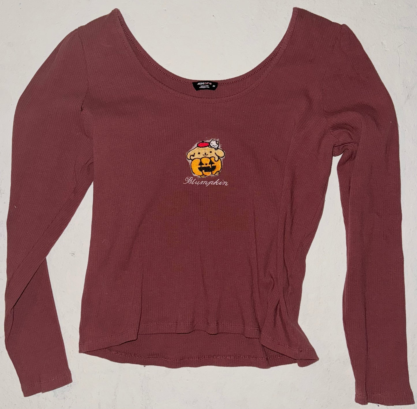 Blumpkin long sleeve top 2XL